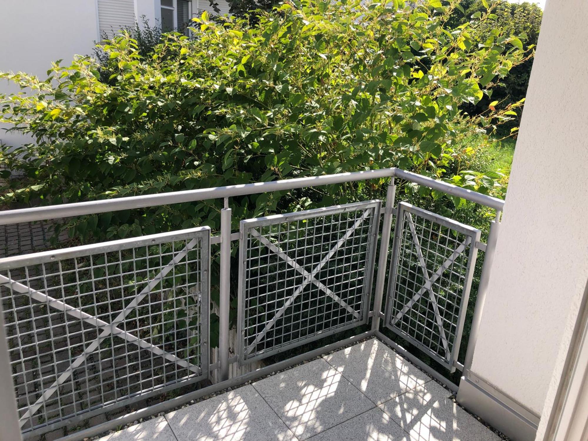 Luxliv Apartements Balingen Exterior photo